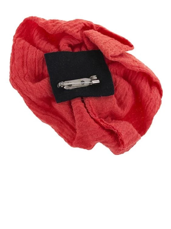 Accesoriu pentru păr și îmbrăcăminte