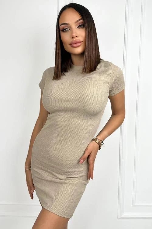 Women's bodycon dress